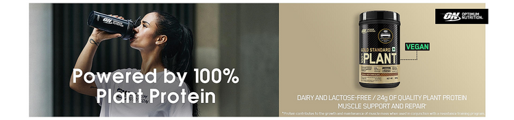 Plant Protein Plant Protein