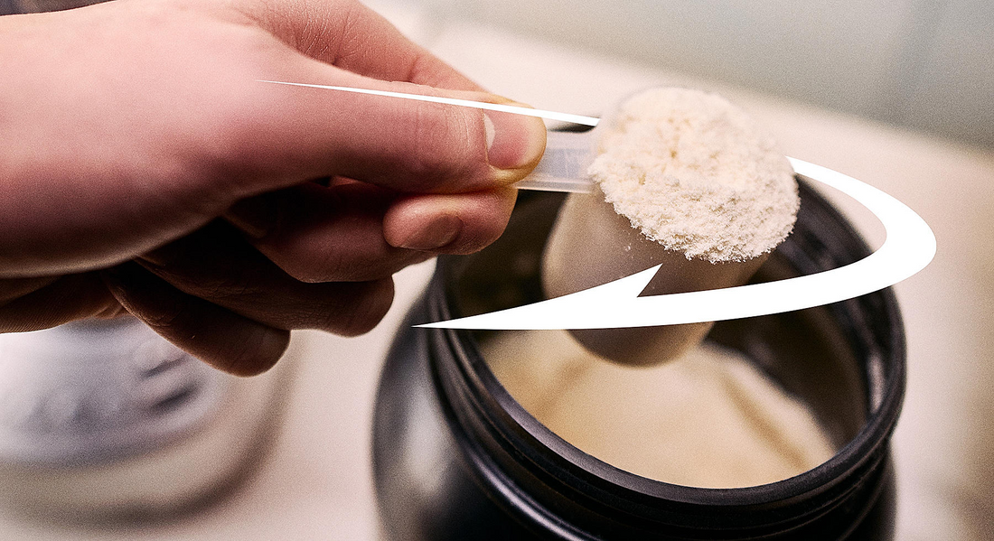 Understanding the Basics of Protein