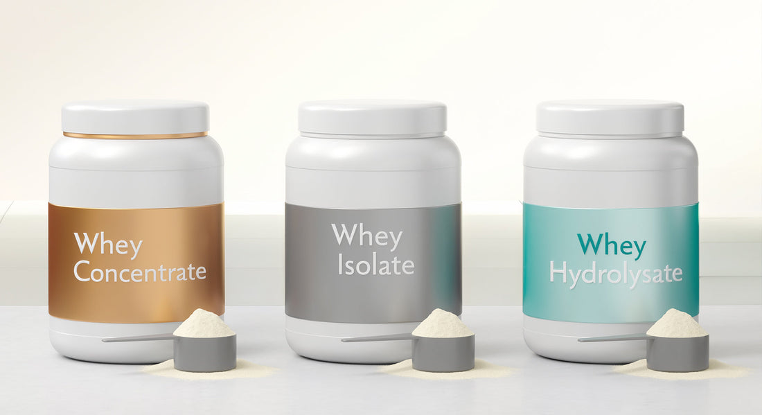 Whey Concentrate vs Isolate vs Hydrolysate: Which One Fits You Best?