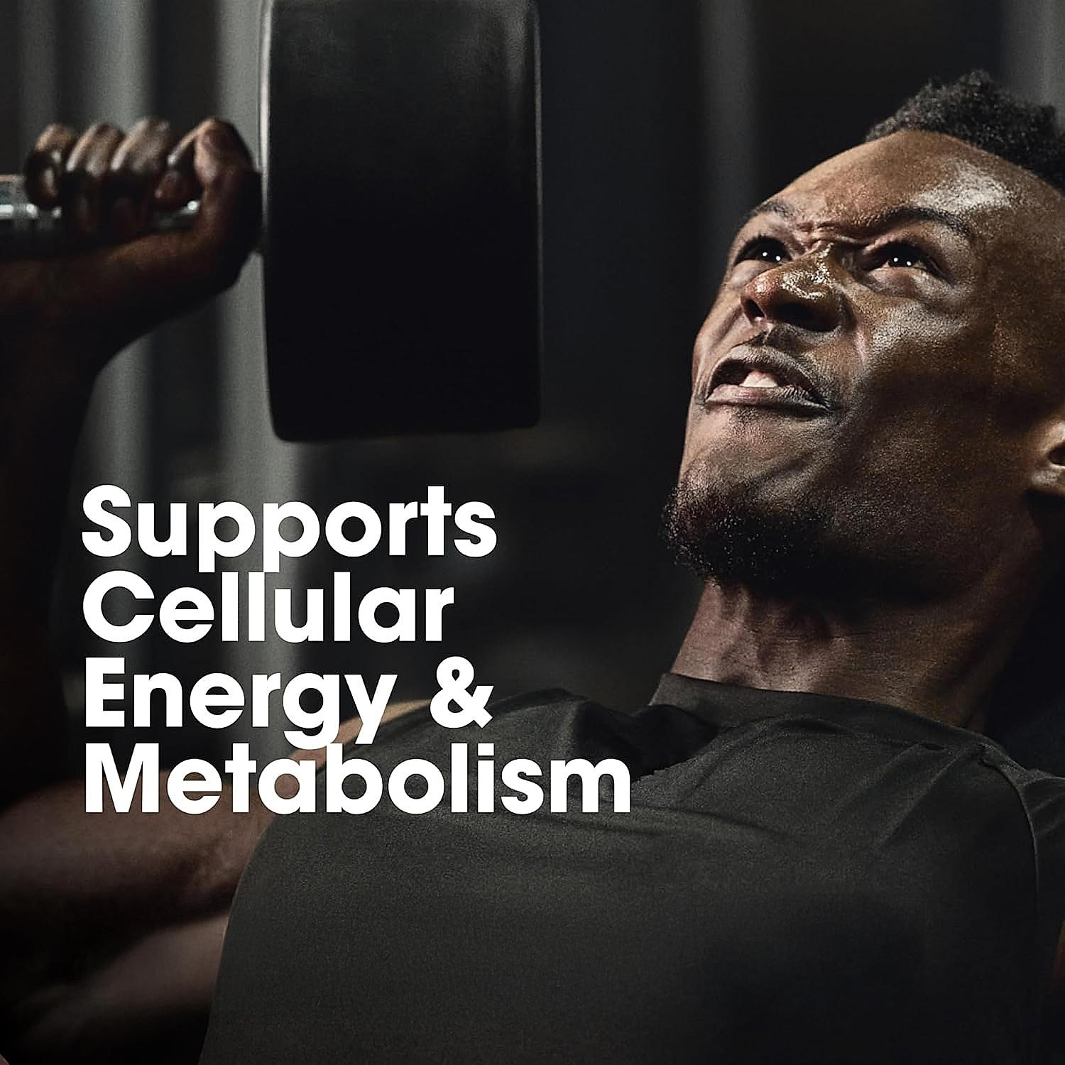 MultiGains - Gold Standard 100% Whey Protein Powder | Double Rich Chocolate | 1.7 kg + Micronized Creatine Powder | Unflavoured| 100 g + Multivitamin for MEN- 60 Tablets + FREE Gallon Bottle