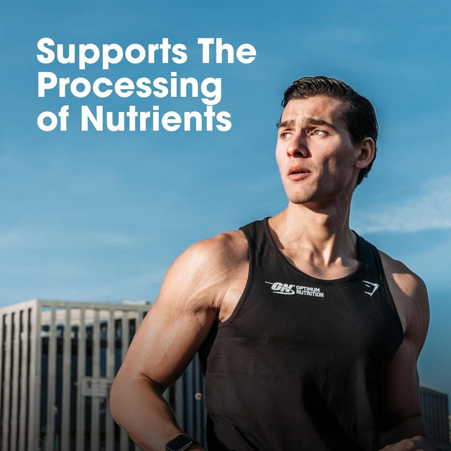 MultiGains - Gold Standard 100% Whey Protein Powder | Double Rich Chocolate | 1.7 kg + Micronized Creatine Powder | Unflavoured| 100 g + Multivitamin for MEN- 60 Tablets + FREE Gallon Bottle